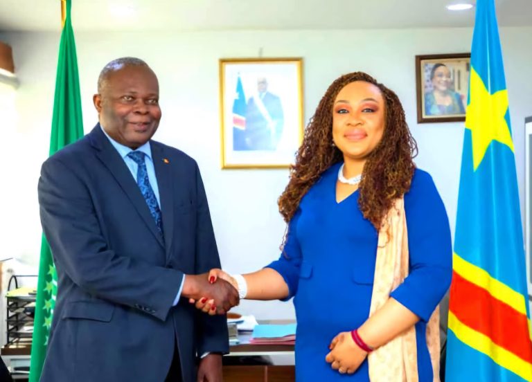 Coopération : vers la tenue d’une commission mixte entre le Tchad et la RDC