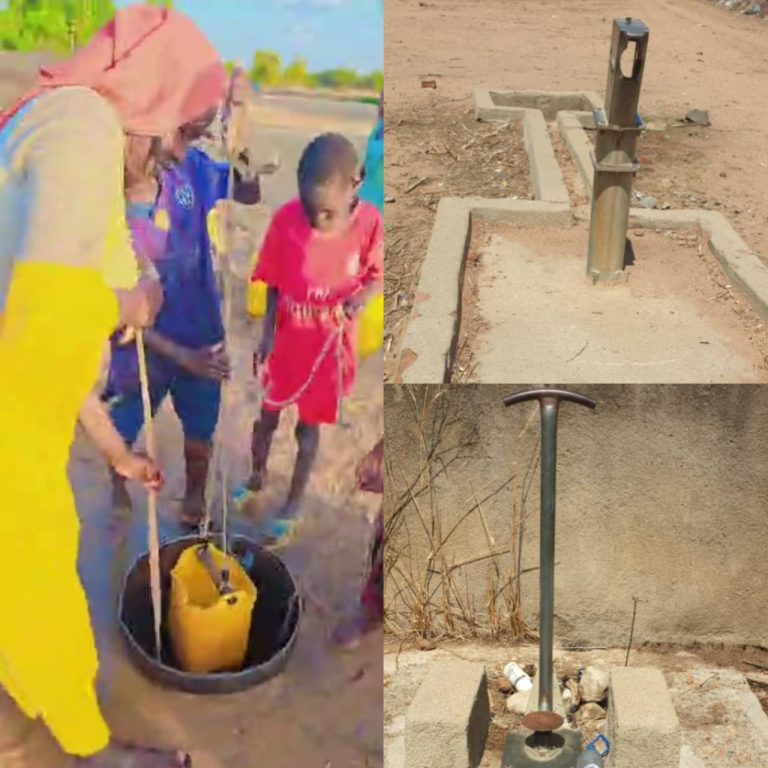 Guéra : La population de Gassara souffre d’accès à l’eau potable