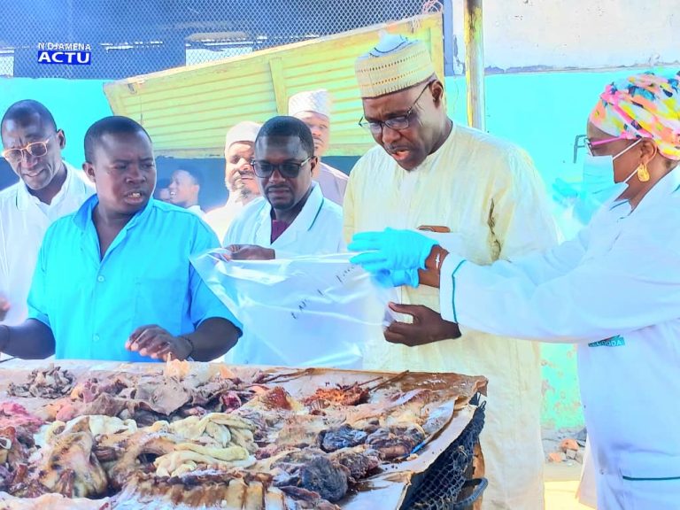 Tchad : Une campagne de contrôle des denrées alimentaires lancée à N’Djaména