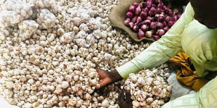 Société : L’ail chinois conquiert les marchés de N’Djaména