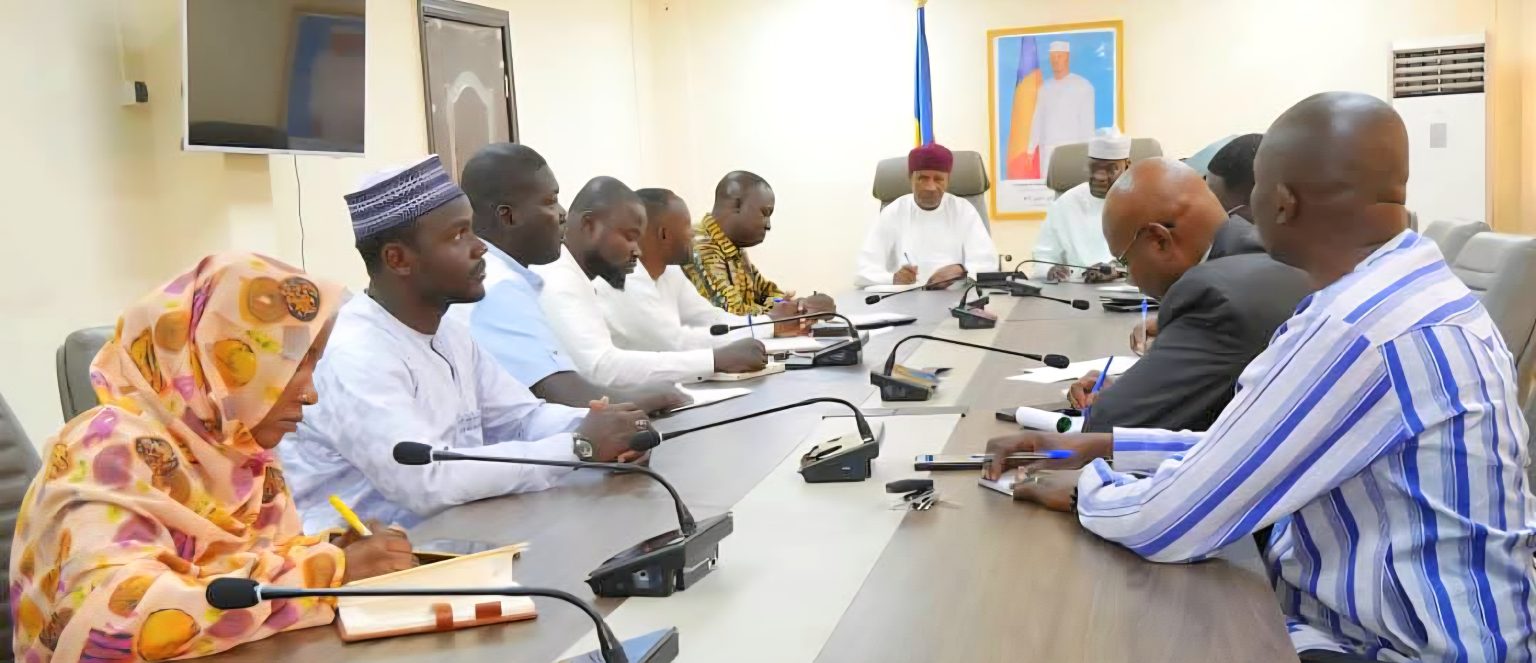 Société : Le Syndicat des Médecins du Tchad soumet ses doléances au gouvernement