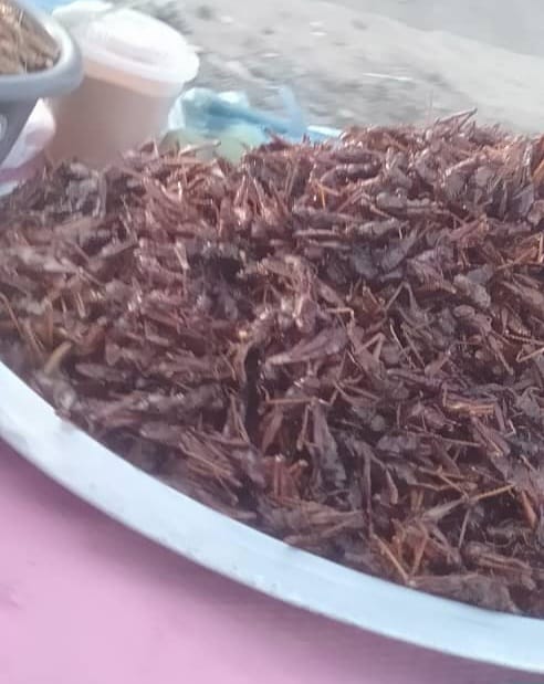 Santé : La consommation des aliments exposés à la poussière est un vecteur de transmission de choléra