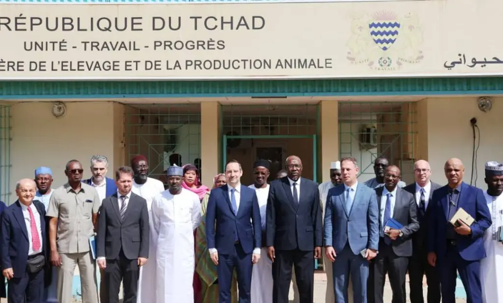 Tchad : Abderrahim Awat Atteïb reçoit une délégation hongroise